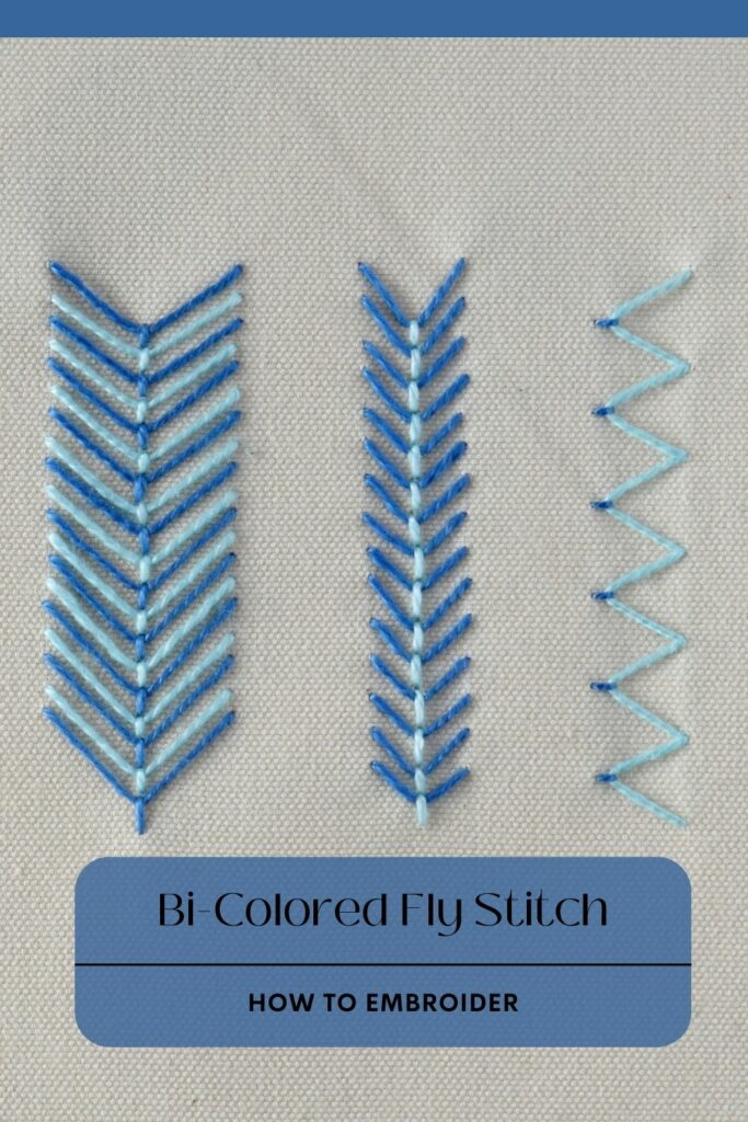 Guide étape par étape du point de mouche bicolore